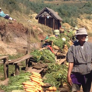 Vendeur de légumes sur la route d Antsirabe