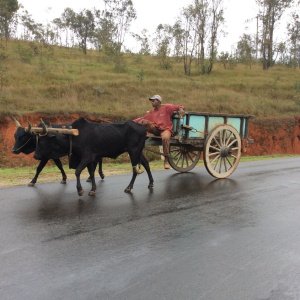 La RN7 entre Tananarive et Antsirabe