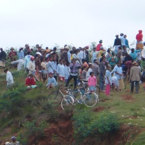 Fête de replantation d'arbres - Région d'Antananarivo