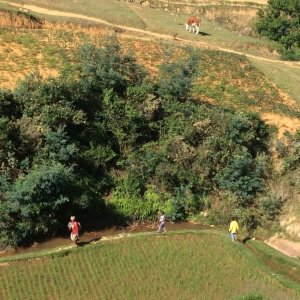 Scène de vie typique de Madagascar